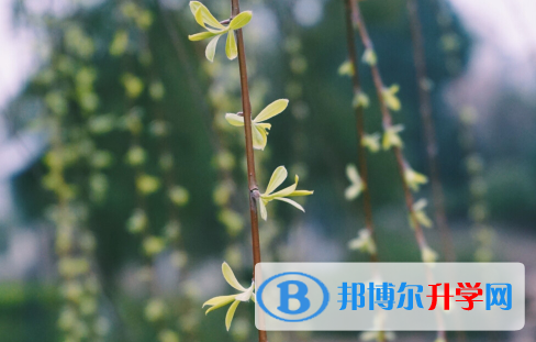 保定2021年中考查詢系統的密碼記不到了怎么辦