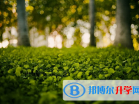 保定2021年中考填志愿統(tǒng)招和調(diào)劑