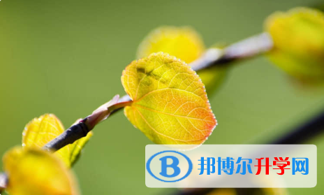 唐山2021年中考招生網絡應用服務平臺