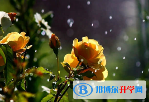 唐山2021年中考自主招生考試學(xué)校
