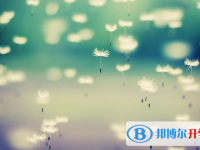 邯鄲2021年中考應對策略