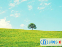 邯鄲2021年中考后可以上什么學校