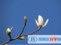 秦皇島2021年中考報名自薦信怎么寫