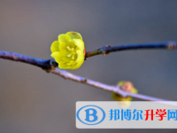 秦皇島2021年如果中考沒考上讀什么好