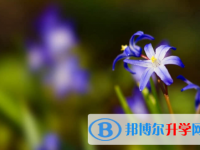 秦皇島2021年什么時候中考