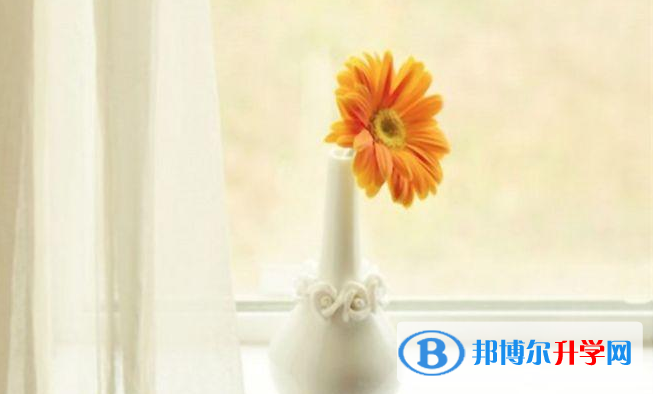 邯鄲2021年中考報名網站登錄