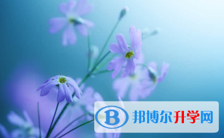 秦皇島2021年中考報(bào)名志愿