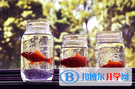 秦皇島2021年中考查詢系統的密碼記不到了怎么辦