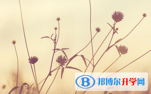 承德2021年中考成績什么時間知道