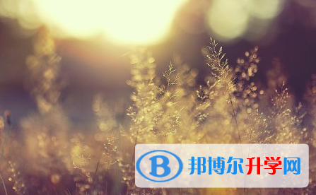 承德2021年中考報(bào)考人數(shù)