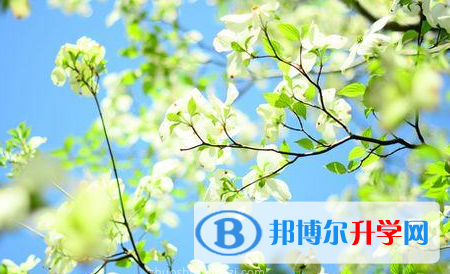 承德2021年中考考點(diǎn)有哪幾個(gè)