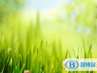 張家口2021年中考報名服務(wù)平臺