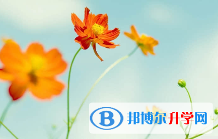 承德2021年中考報(bào)名服務(wù)平臺(tái)