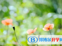 承德2021年中考體考標(biāo)準(zhǔn)