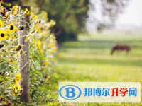 成都2021年中考報(bào)名號