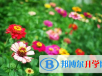 成都2021年中考報(bào)名平臺