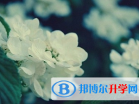 成都2021年中考報(bào)名網(wǎng)