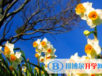 成都2021年中考線預(yù)測