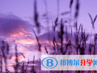 四川2021年中考錄取結果查詢