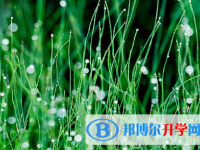 四川2021年中考報名網站是什么
