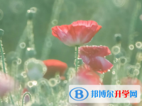 四川2021年中考報名網址