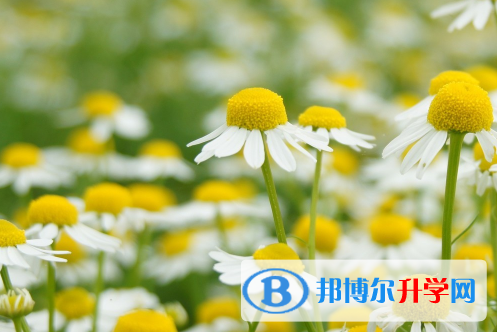 四川2021年中考網上志愿如何打印