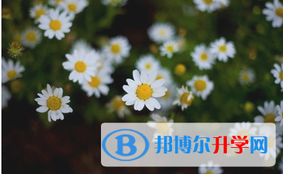 自貢2021年如何查詢(xún)中考錄取結(jié)果