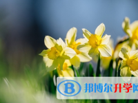 自貢2021年二類學校中考