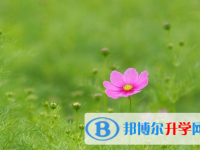 自貢2021年近幾年中考重點線