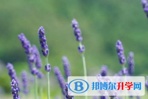 自貢2021年中考報考人數(shù)