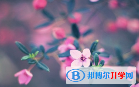 自貢2021年中考報名網(wǎng)站
