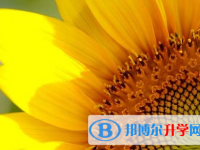 自貢2021年中考網錄取系統