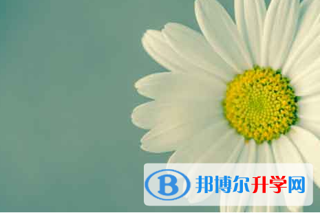 自貢2021年中考網絡平臺