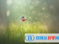 自貢2021年中考報名服務平臺