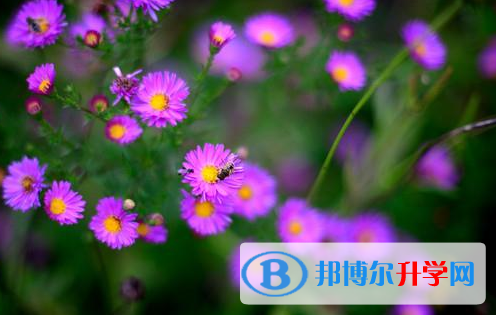 自貢2021年中考哪個(gè)地方最難