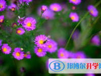 自貢2021年中考哪個地方最難