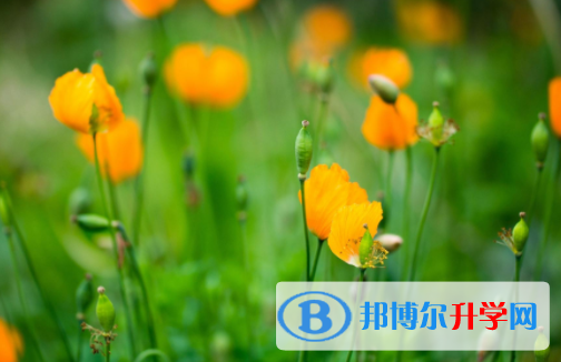 自貢2021年中考沒考好