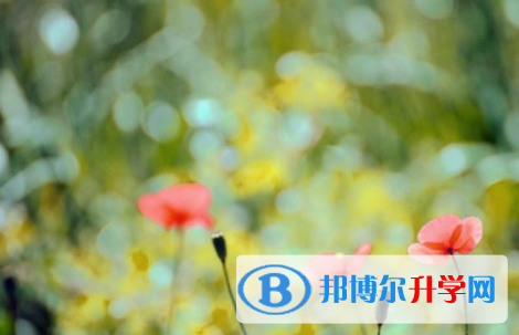 自貢2021年中考沒有被學校錄取咋辦