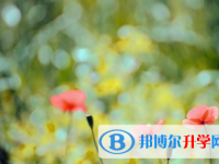 自貢2021年中考沒有被學校錄取咋辦