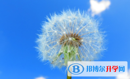 自貢2021年中考報名自薦信怎么寫