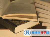 攀枝花2021年查詢中考成績上哪個網站