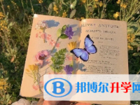 攀枝花2021年中考招生計劃查詢