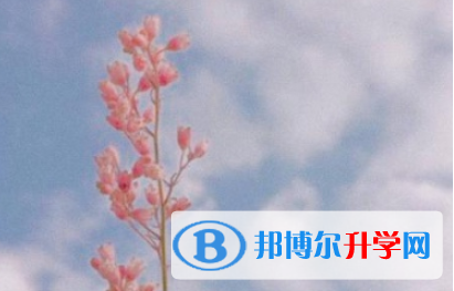 攀枝花2021年中考招生情況