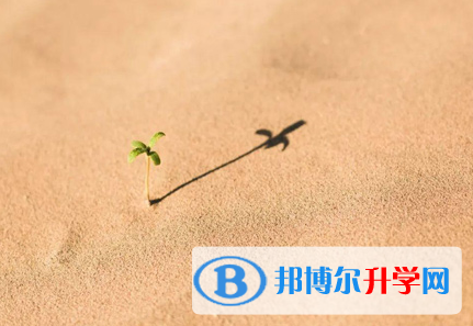 攀枝花2021年中考的規則