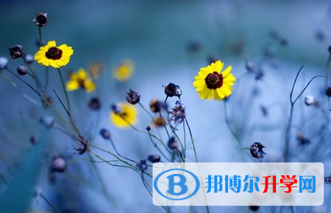 攀枝花2021年中考沒考好可以復讀嗎