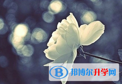 攀枝花2021年中考志愿可以填幾個(gè)