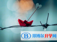 瀘州2021年中考報(bào)名查詢(xún)