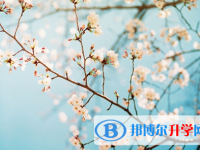 瀘州2021年中考成績一般讀什么學(xué)校