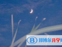 瀘州2021年中考網(wǎng)絡(luò)應(yīng)用服務(wù)平臺(tái)成績(jī)查詢