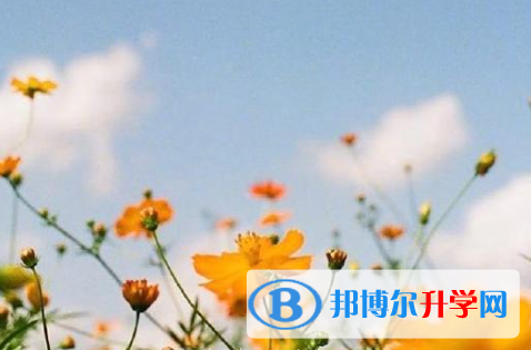 瀘州2021年中考重點線